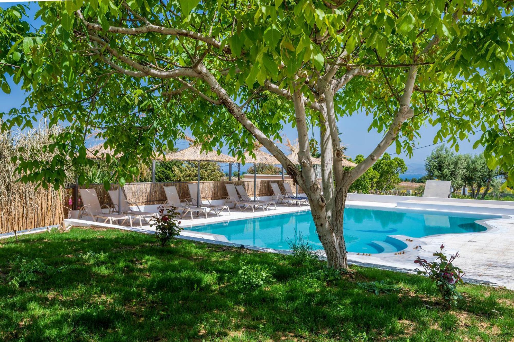 Homes Eva'S Garden, Poolside Cozy Havens In Kos Agios Dimitrios  Exteriör bild